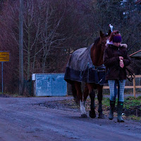 Siamo a  cavallo o no? di 