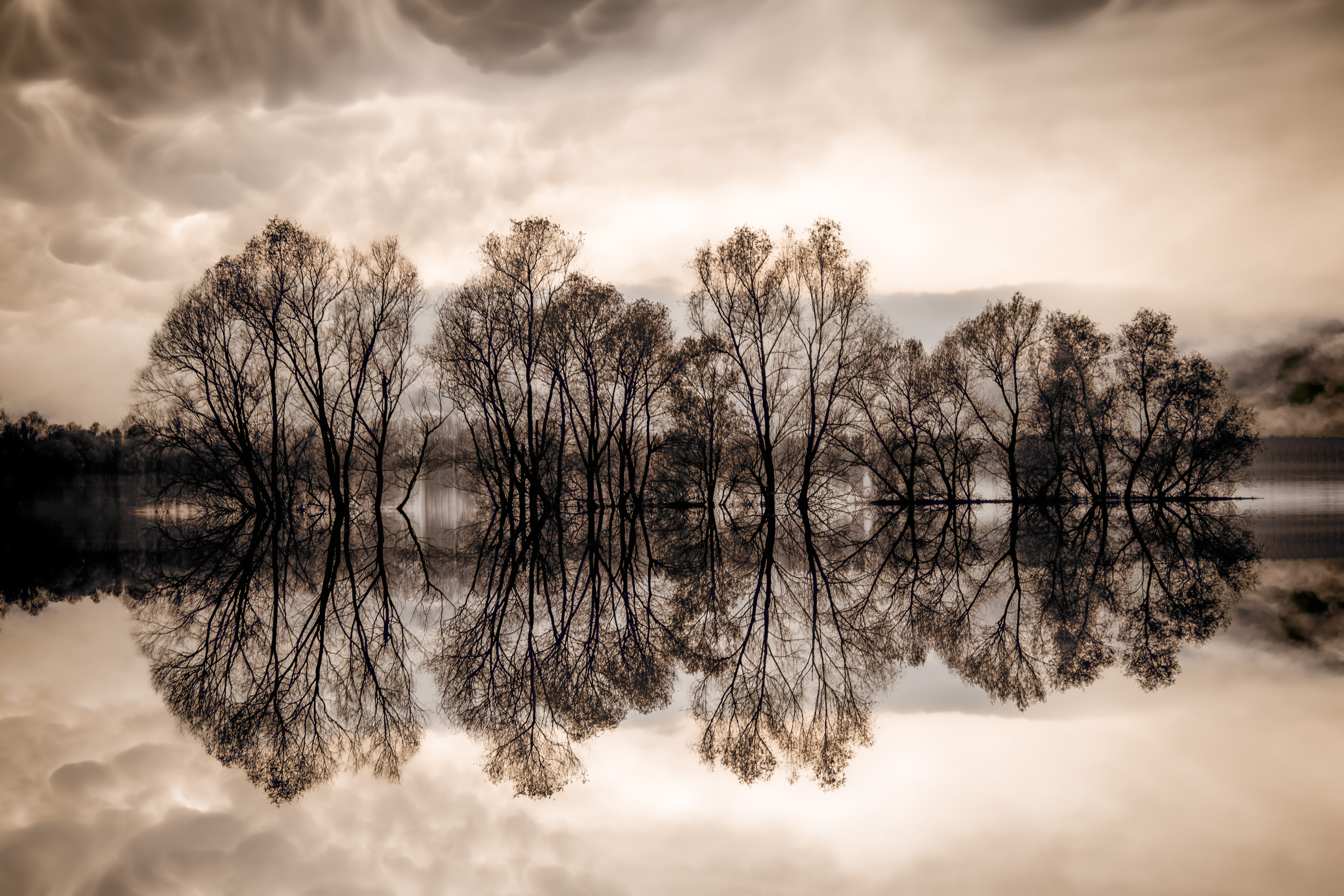 l'isola immersa sul fiume Po di albertococco