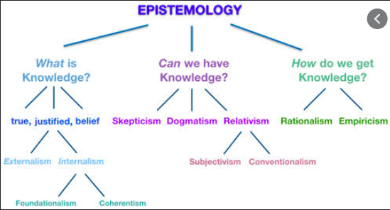 science extension study notes epistemology knowledge tree