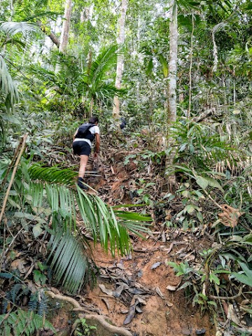 Bukit Kutu via Ampang Pecah Old Colonial Route hiking