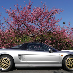 NSX NA1