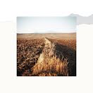 Field & Horizon - Instagram Post item