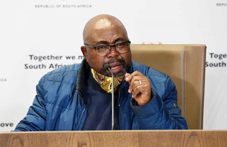 Acting public service and administration minister Thulas Nxesi says the professionalisation of public administration is critical to building state capacity.