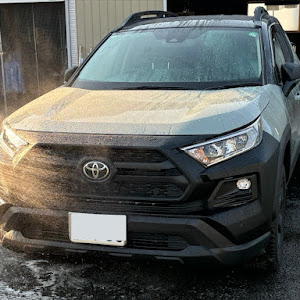 RAV4 MXAA54