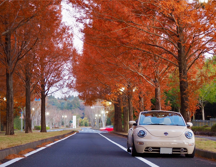 の投稿画像18枚目