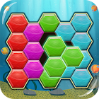 Puzzle Mania - Hexa Block Puzzle Games 1.1