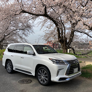 LX URJ201W