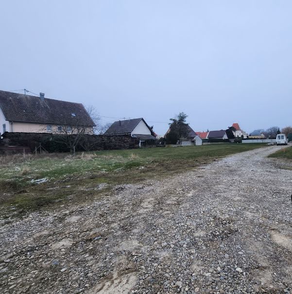 Vente terrain  492 m² à Raedersheim (68190), 123 000 €