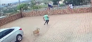 Footage of the dog chasing the robbers.