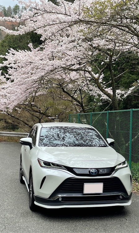 ハリアーのまーくんさんが投稿したカスタム事例の投稿画像1枚目