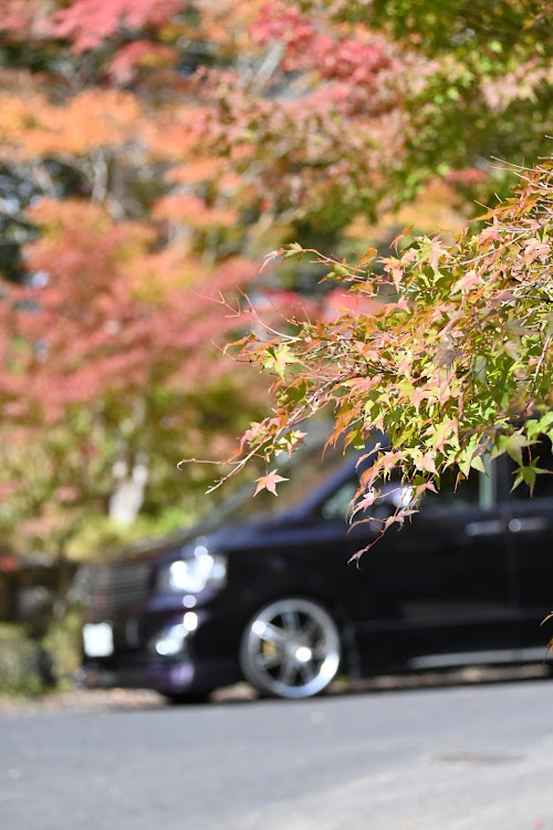 ヴォクシーのworkwheels・WORK VARIANZA T1S・カメ活📷️・紅葉と愛車・ストック放出中に関するカスタム事例の投稿画像3枚目