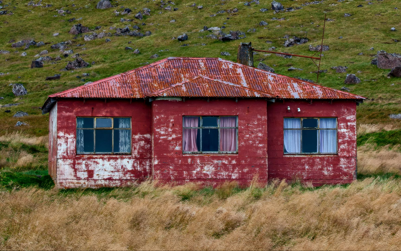 The Wild Red House Chrome Extension Image 1