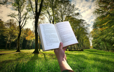 Read books outside in nature small promo image