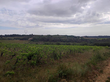 terrain à Murviel-lès-Béziers (34)