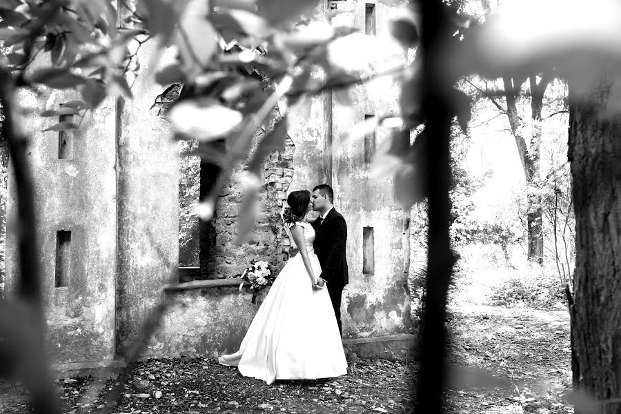 Wedding photographer Katerina Platonova (sescar). Photo of 23 August 2019