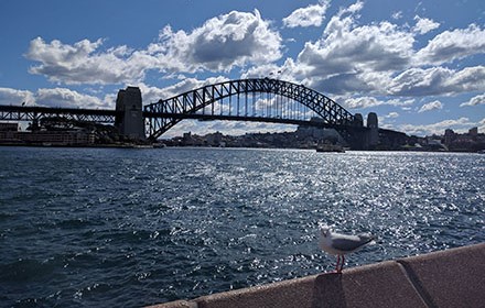 The Sydney Harbour Bridge small promo image