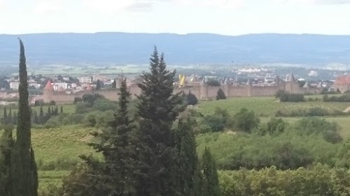 01-06-2018: CARCASSONNE - DOS SEMANAS POR BRETAÑA Y FUTUROSCOPE (1)