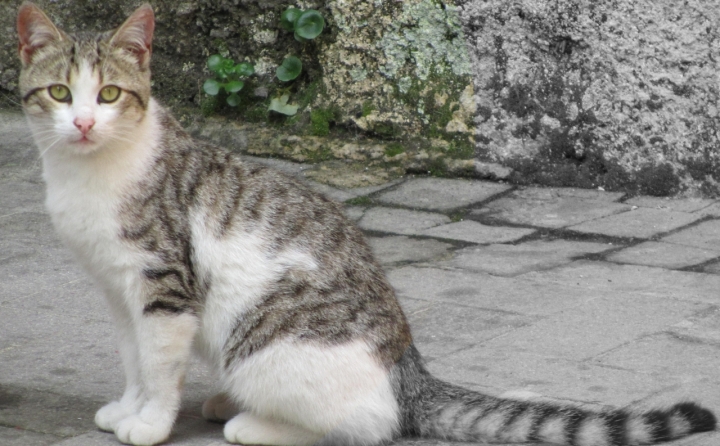 In posa per la foto di Carmelo Vecchio