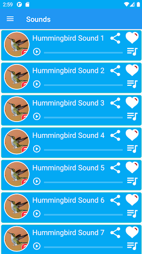 Hummingbird Sounds