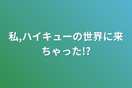 私,ハイキューの世界に来ちゃった!?