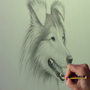 How to draw Dogs  Icon