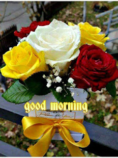 Good Morning Nice(圖6)-速報App