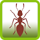 Ant Smasher Free Game