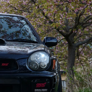 インプレッサ WRX STI GDB