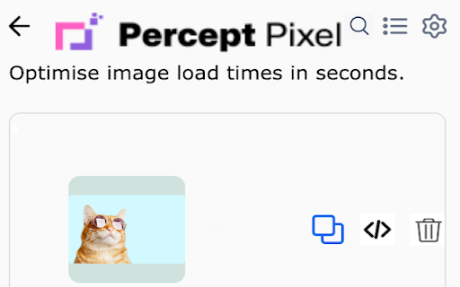 PerceptPixel Image Transformer