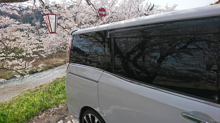 エスクァイアのコロナウイルスに負けるな・桜と愛車・チューリップに関するカスタム事例の投稿画像1枚目