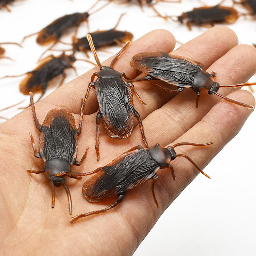 Title 1, Simulated Cockroach April Fools Day Toy. Prank...