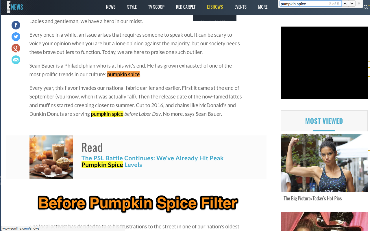 Pumpkin Spice Filter Preview image 2