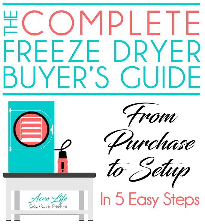 Before You Buy a Freeze Dryer, Read This Guide