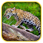 Real Jaguar Cub Simulator Apk