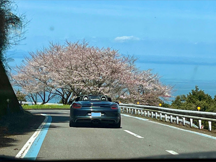 ボクスターのサクラと愛車・さくら🌸・ツーリング・瀬戸内海・愛媛県に関するカスタム事例の投稿画像1枚目