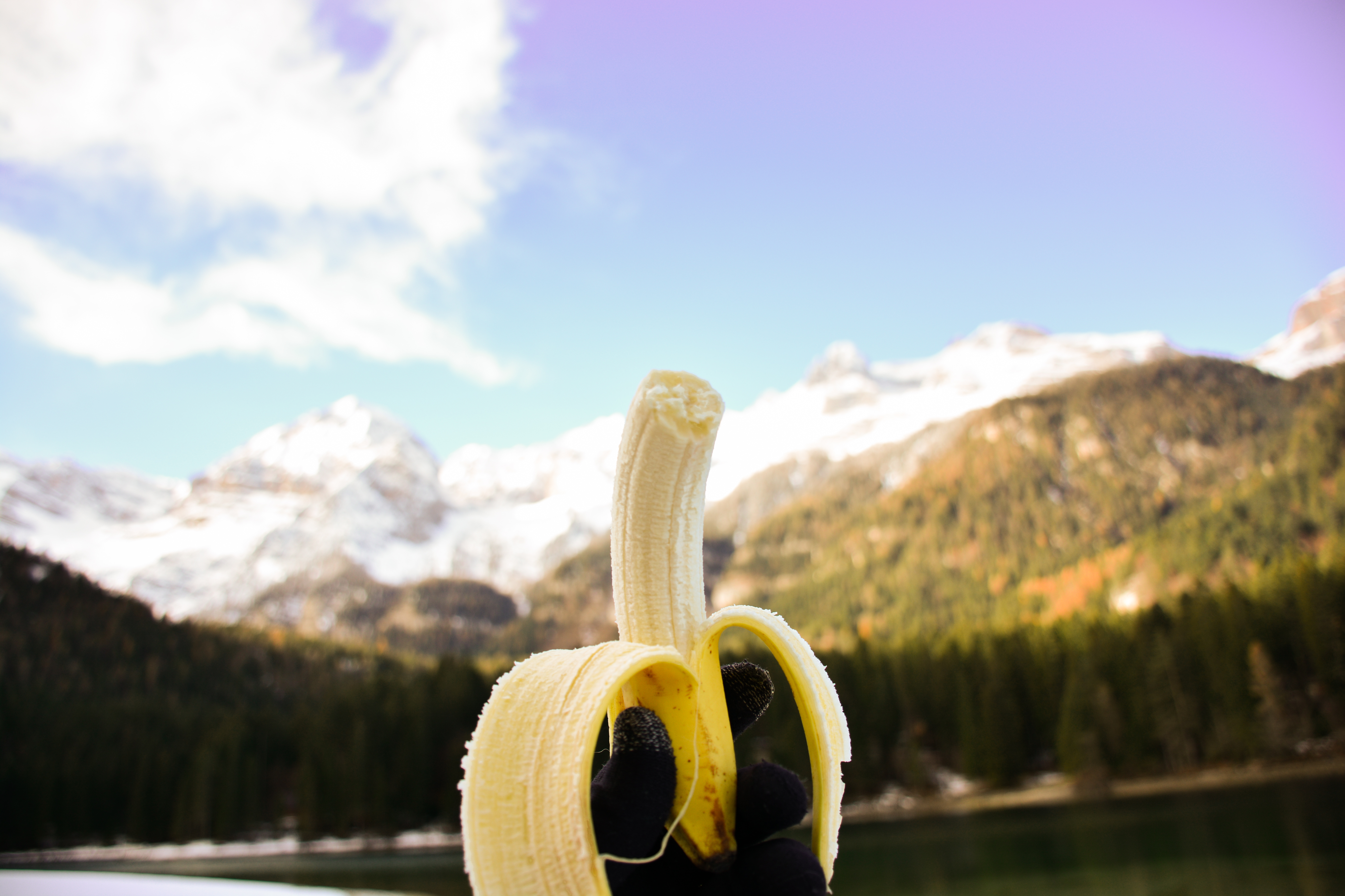 Banana di Montagna di neuropape