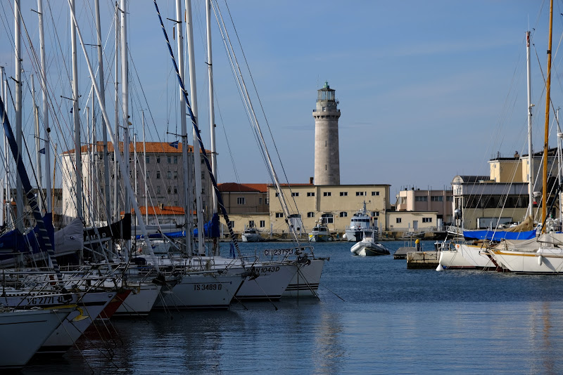 Barche nel porto di Trieste di Michele Sersale