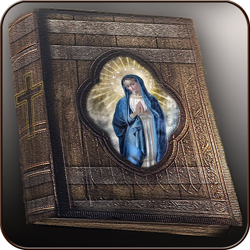 The Amplified Bible Screen 2