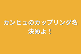 カンヒュのカップリング名決めよ！