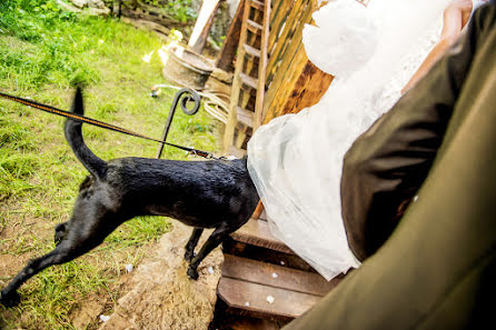 Fotograful de nuntă Petr Wagenknecht (wagenknecht). Fotografia din 30 iunie 2015