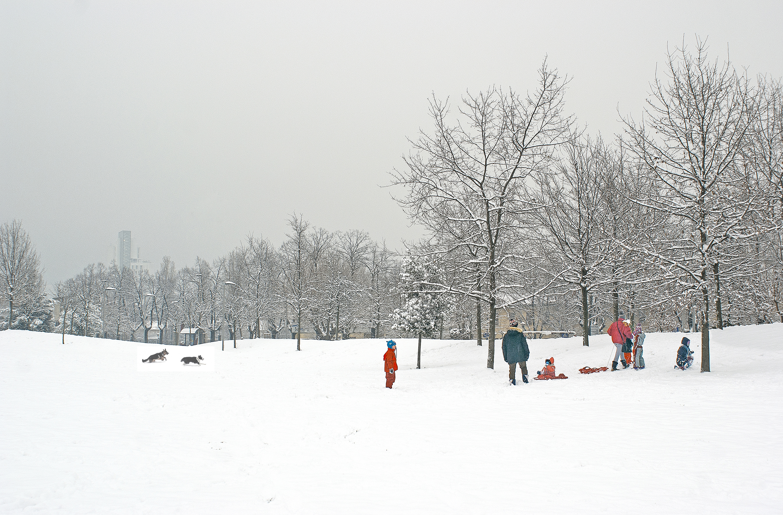 Che bella la neve in città! di carlo-bi