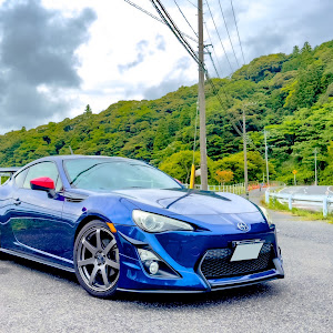 86 ZN6