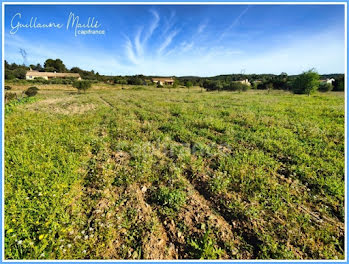 terrain à Neffiès (34)