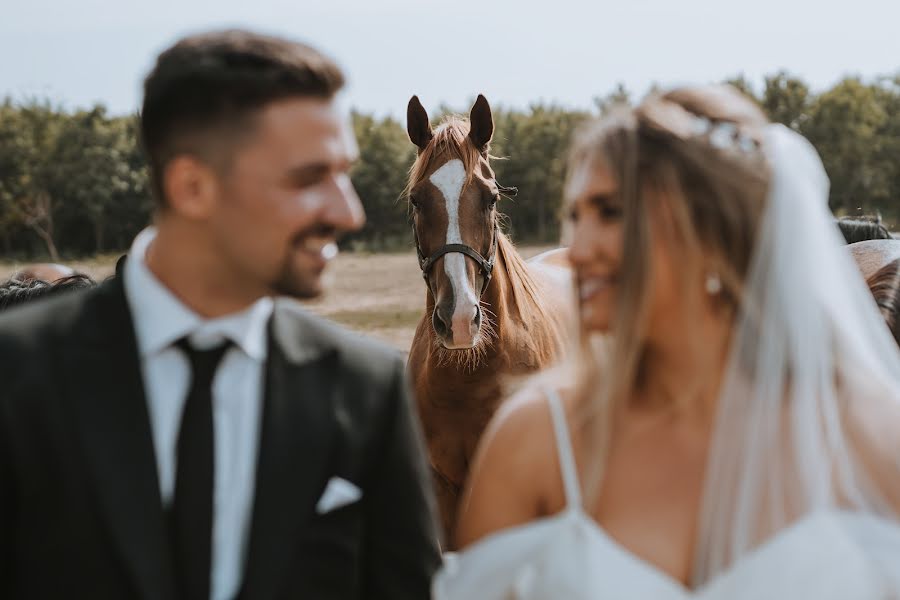 Wedding photographer Svetozar Gardinovački (gardinovacki). Photo of 31 October 2023