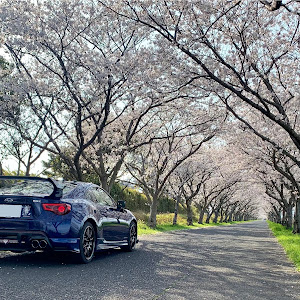 BRZ ZC6