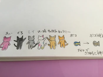 ねこねこ学園物語   設定