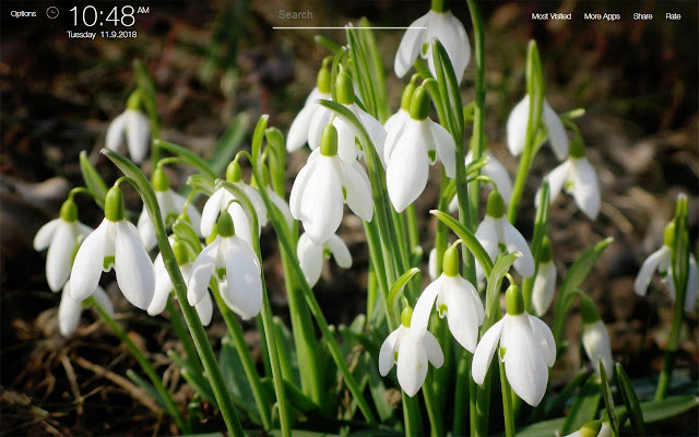 Spring Wallpapers FullHD New Tab