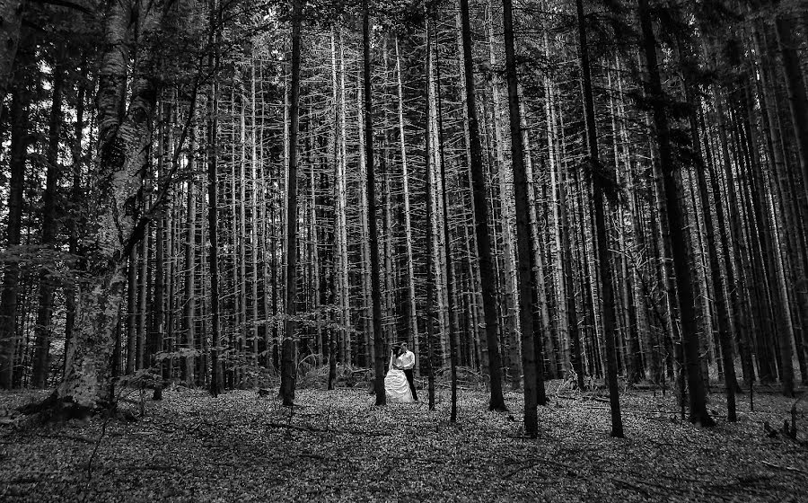 Fotógrafo de casamento Marius Stoica (mariusstoica). Foto de 17 de agosto 2016