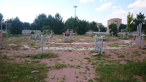 Spor Alanı