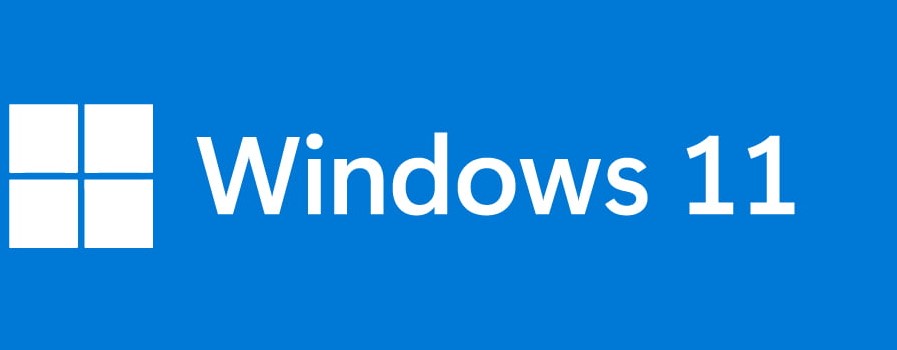 Windows 11